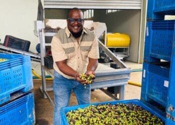 Loyiso Manga owner of Ubuntu Extra Virgin Olive Oil
