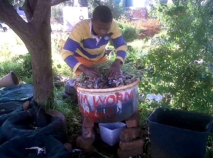 Worm farming at Serapeng sa Ditlhare