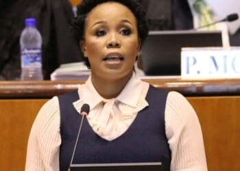 North West finance MEC Kenetswe Mosenogi