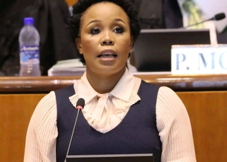 North West finance MEC Kenetswe Mosenogi