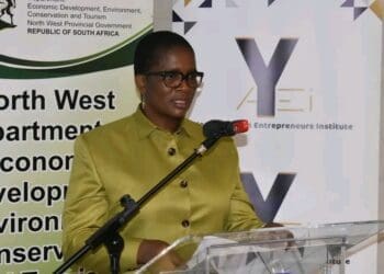 MEC, Bitsa Lenkopane