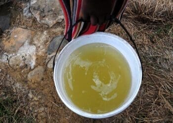 Small business owners in Hammanskraal say poor quality of water supply is impacting their businesses. Picture: Lucas Ledwaba