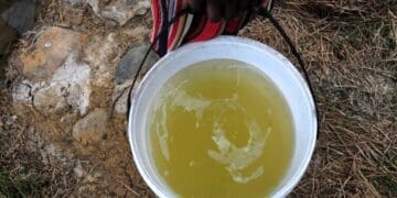 Small business owners in Hammanskraal say poor quality of water supply is impacting their businesses. Picture: Lucas Ledwaba