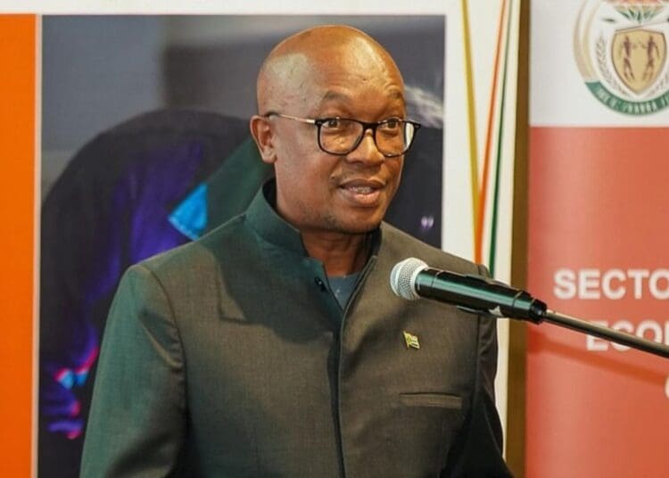 Minister of Trade, Industry and Competition, Parks Tau,