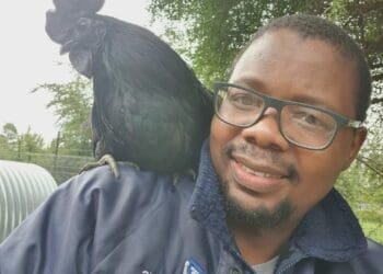 Paul Bango with one of his black Ayam Cenami cocks.
Photo: Supplied