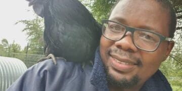 Paul Bango with one of his black Ayam Cenami cocks.
Photo: Supplied