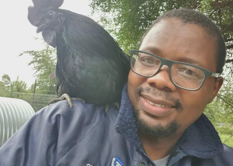 Paul Bango with one of his black Ayam Cenami cocks.
Photo: Supplied