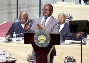 Finance Minister Enoch Godongwana