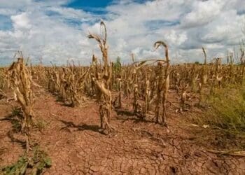 Farming with no water a big crisis