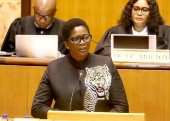 Economic development, environment, conservation and tourism MEC Bitsa Lenkopane