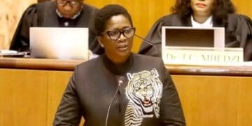 Economic development, environment, conservation and tourism MEC Bitsa Lenkopane