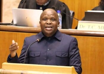 MEC for Department of Agriculture and Rural Development in North West :Madoda Sambatha