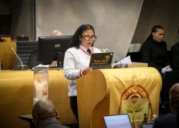 The MEC for Finance, Economic Development, and Tourism,  Venus Blennies-Magage