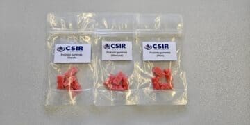 CSIR has developed these prototype probiotic gummies