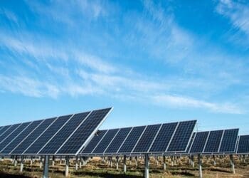 Small solar installers feel left