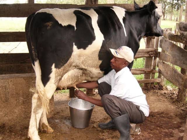 New regulations governing raw milk sales to affect small scale farmers