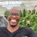 Mdu Lepele, an an agro-processor and entrepreneur in the cannabis industry. Photo supplied
