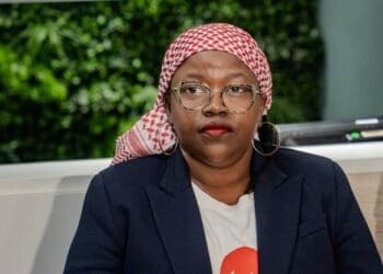 Gauteng MEC for Transport, Kedibone Diale-Tlabela, announced plans to develop a new e-hailing app that will be government-led.