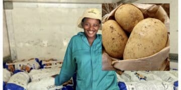 Drought and floods threaten farming