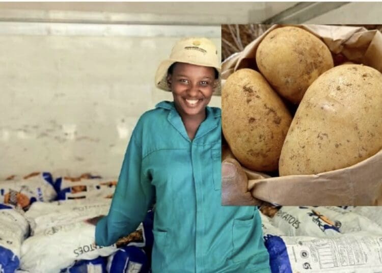 Drought and floods threaten farming