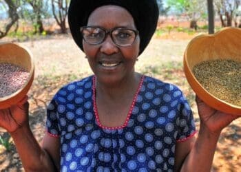 Farmer and agro ecology campaigner Rosa Ramaipadi hopes the career and trade expo she is hosting will benefit small scale farmers and SMEs in general. Photo. Lucas Ledwaba