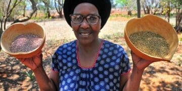 Farmer and agro ecology campaigner Rosa Ramaipadi hopes the career and trade expo she is hosting will benefit small scale farmers and SMEs in general. Photo. Lucas Ledwaba