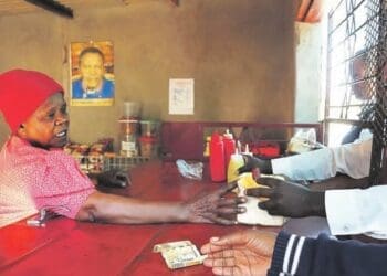 Experts warn that township business should focus on building relations. Photo. Lucas Ledwaba\Mukurukuru Media