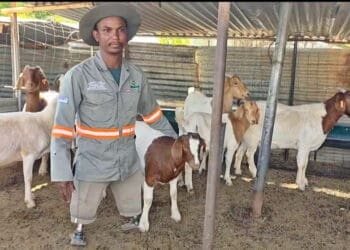 Farmer Realebonga Mangwegape