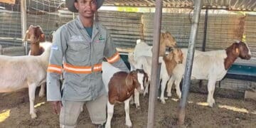 Farmer Realebonga Mangwegape