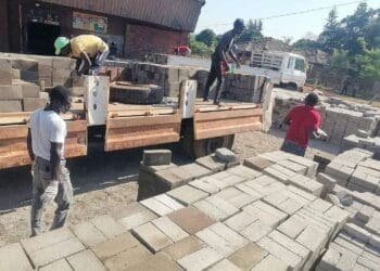 Tshima Bricks is helping rural based folk to access bricks that are adaptable to their areas.