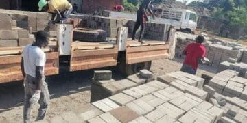 Tshima Bricks is helping rural based folk to access bricks that are adaptable to their areas.