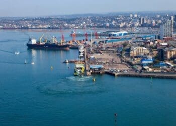Cranes operating amid backlog at Durban port, exporters say equipment bottlenecks are contributing to delays