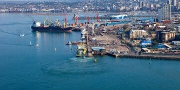 Cranes operating amid backlog at Durban port, exporters say equipment bottlenecks are contributing to delays