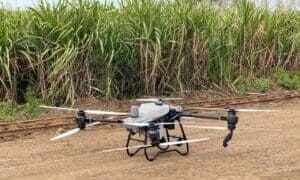 Sugarcane farmers are resorting to technology in a bid to counter cheap imports.