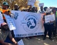 Small-scale farmers and livestock SMMEs in the North West are calling for urgent action to safeguard their businesses and livelihoods, after years of grappling with escalating crime and inadequate support.