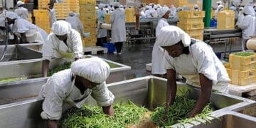 Local agro-processing businesses will get an opportunity to trade with west African companies.