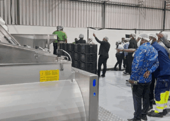 The launch of an avocado oil processing factory in a rural village.