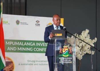 Mpumalanga Premier Mandla Ndlovu said the investment pledges are a turning point for the province.
