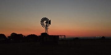 On a picturesque farm in Fochville in western Gauteng, André Badenhorst the owner of Animal Farm is taking steps to implement the Protection of Personal Information Act (POPIA). Photo. Animal Farm