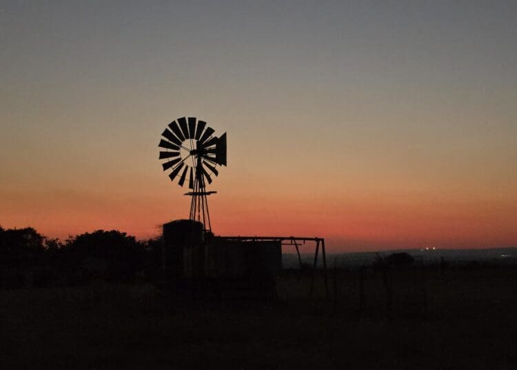 On a picturesque farm in Fochville in western Gauteng, André Badenhorst the owner of Animal Farm is taking steps to implement the Protection of Personal Information Act (POPIA). Photo. Animal Farm