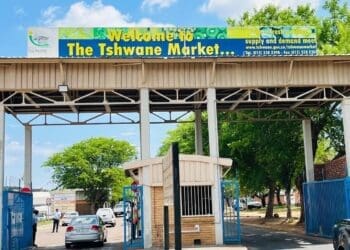 The Township Entrepreneurship Alliance’s 7th Tshwane Economic Summit and Expo placed a sharp spotlight on the pressures facing township retailers