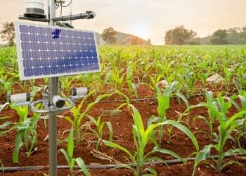Many farmers are turning to climate-smart agriculture.