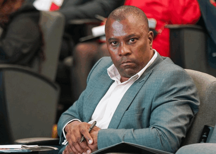 NEF CEO Mziwabantu Dayimani during the Legal Sector Code Summit.