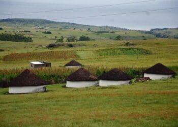 Eastern Cape village farmers are cashing in on festivities during the December holidays. Photo. Lucas Ledwaba\Mukurukuru Media