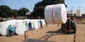 Farmers are hoping to meet strict tax and admin compliance regulations in the new year.