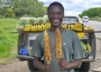 Koena Tjelele sells mielies along the R37 road in Polokwane. Photo. Lucas Ledwaba\Mukurukuru Media