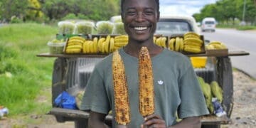 Koena Tjelele sells mielies along the R37 road in Polokwane. Photo. Lucas Ledwaba\Mukurukuru Media