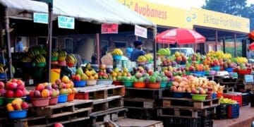 Small business traders like hawkers at the Tshakhuma Market in Limpopo are now left to carry the costs of the damages resulting from the floods. Photo. Limpopo Tourism Agency\Facebook