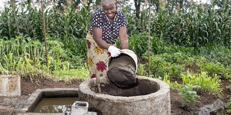 Kenya is leading the charge in promoting biogas technology as a renewable energy source. Photo. Go Green East Africa