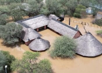 Torrential rain has caused flooding of businesses in Limpopo. Photo. Facebook